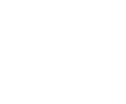 Evolution games at Show Reel Bingo Casino
