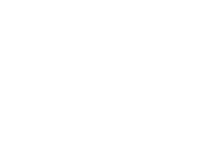 NetEnt games at Show Reel Bingo Casino